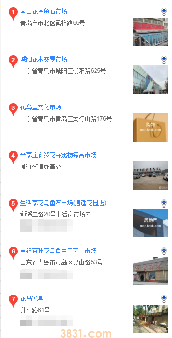 青岛买阿拉斯加(图1)