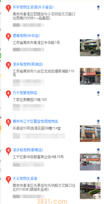南京买拉布拉多(图2)