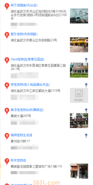 武汉哪里买松狮(图2)