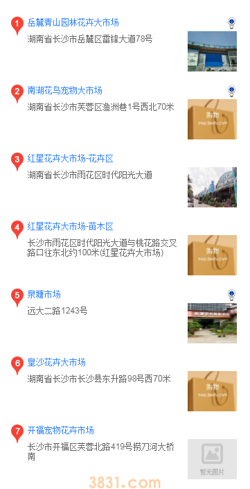 长沙买松狮的地方(图1)