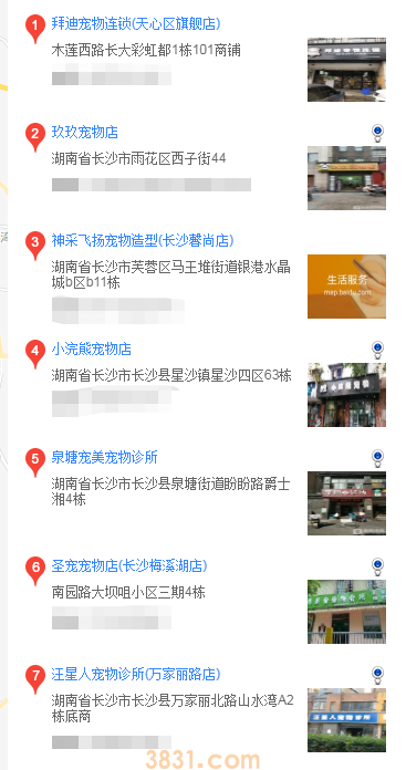 长沙买松狮的地方(图2)