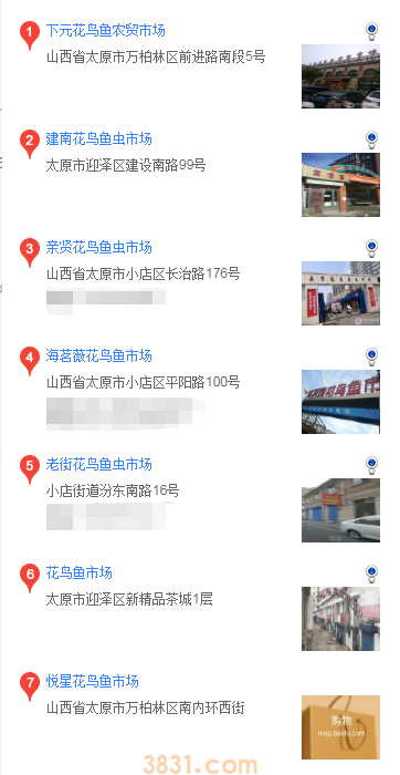 太原怎么买松狮幼犬(图1)