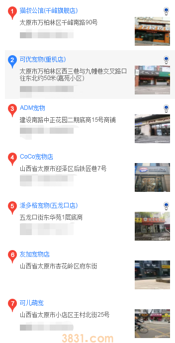 太原怎么买松狮幼犬(图2)