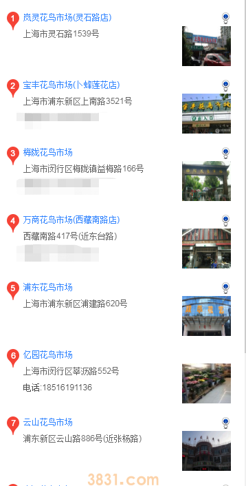 上海哪里买比熊(图1)