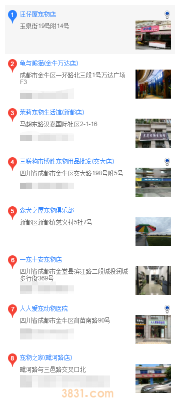 成都哪里买德牧(图2)