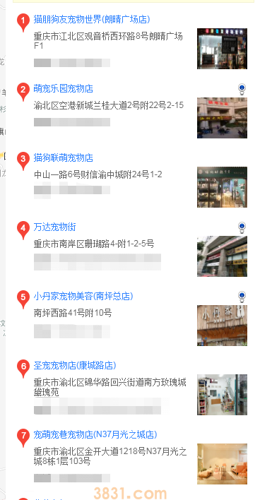 重庆哪里可以买蝴蝶犬(图2)