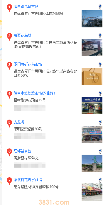 厦门哪里买蝴蝶犬(图1)