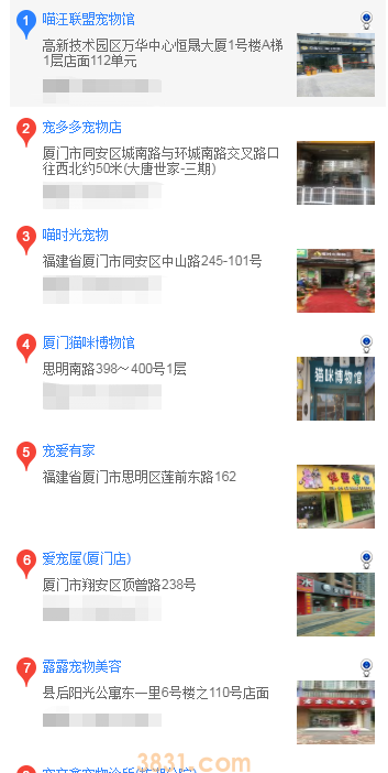 厦门什么地方买柴犬(图2)