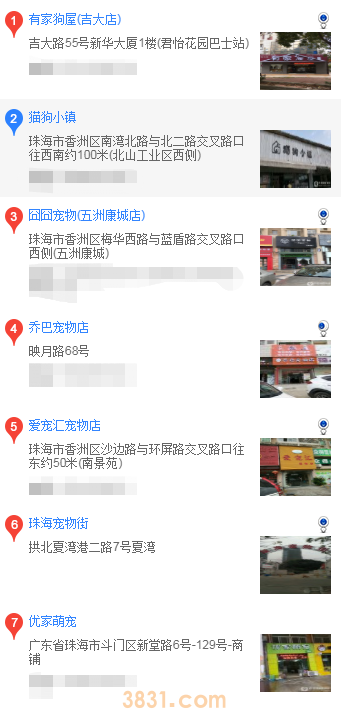 珠海买哈士奇(图1)