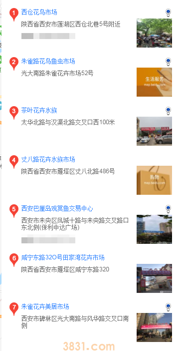 西安哪里买英斗犬(图1)