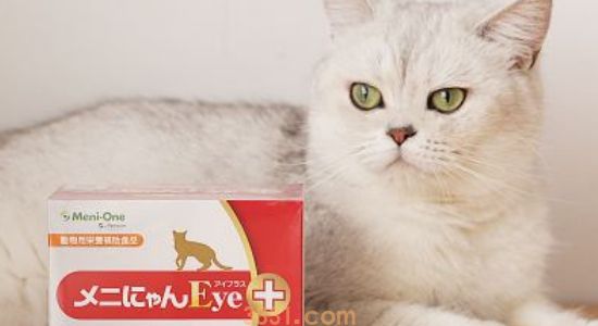 猫便秘怎么马上拉出来 便秘可不是小事!(图2)