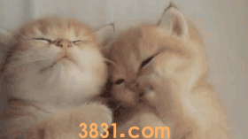 猫得抑郁症会慢慢好吗 主人能做些什么?(图2)