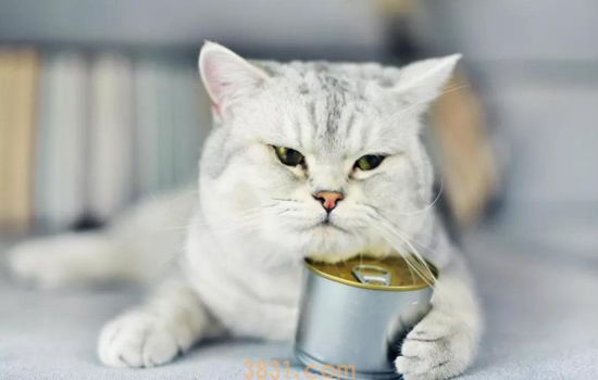 猫罐头对猫有什么作用 处方猫罐头了解一下(图2)