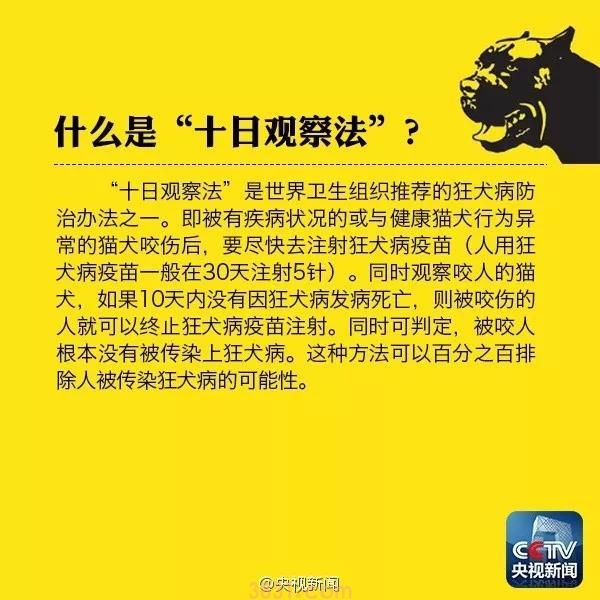 被猫抓伤了最迟多久打预防针 疫苗打晚了会失效?(图3)