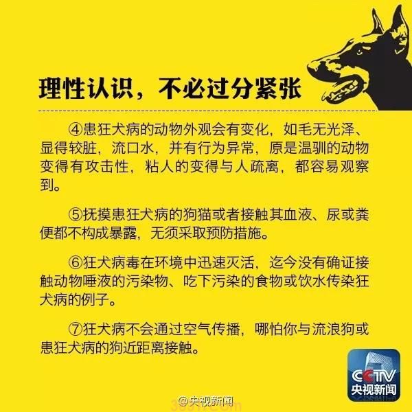 被猫咬轻微破皮 到底要不要打狂犬疫苗?(图3)