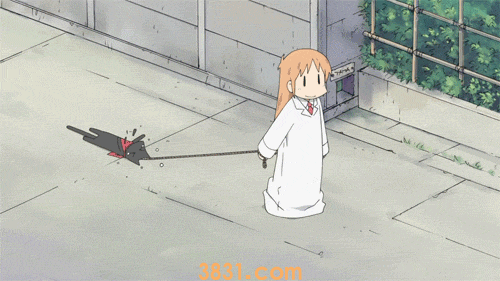 美短折耳猫能活多久 遗传病不发作能像正常猫一样吗?(图1)