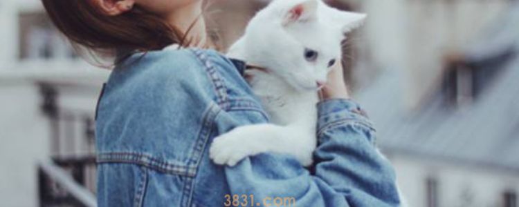 猫毛会吸进鼻子里吗 你把人类看得太弱了(图1)
