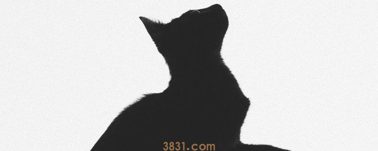 被猫咬后伤口形状 如何确定是被猫咬伤?(图1)