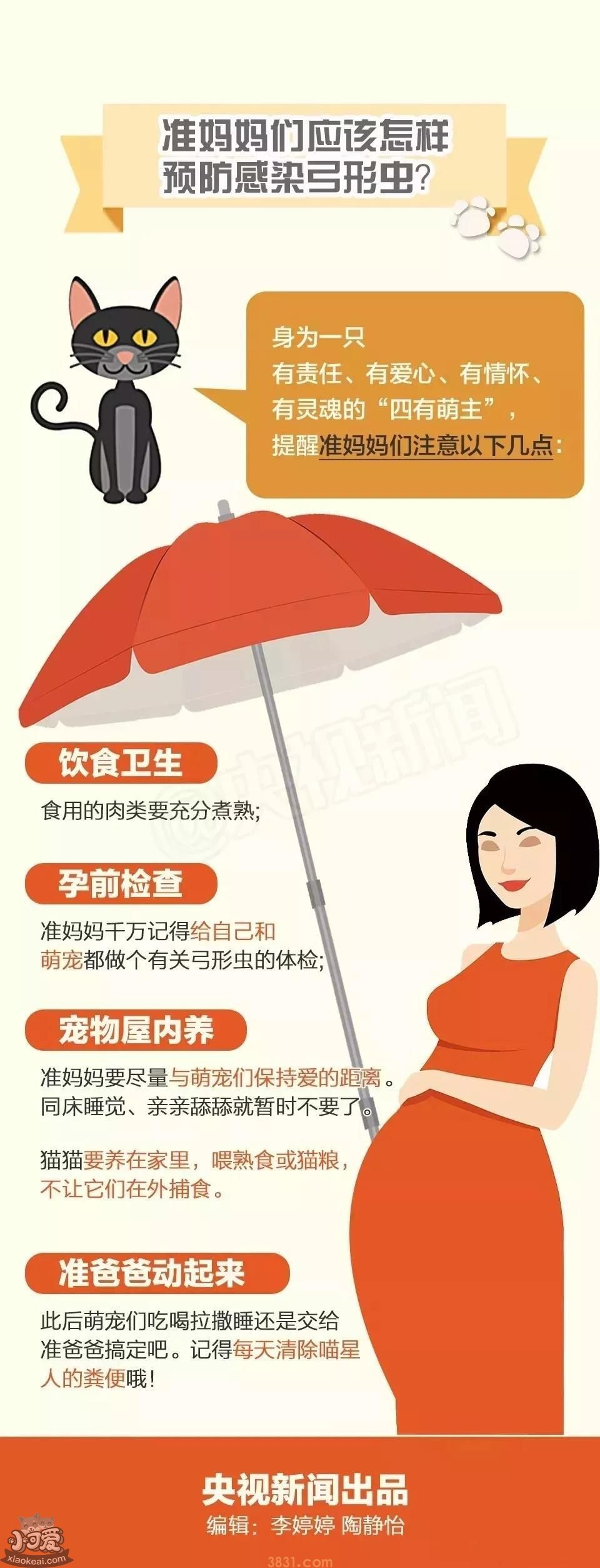 央视辟谣怀孕不能养猫 做好这些baby和猫可以和谐共处!(图4)