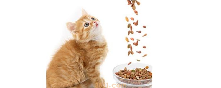 卡拉胶对猫有害吗 你可能还不知道的危害!(图1)
