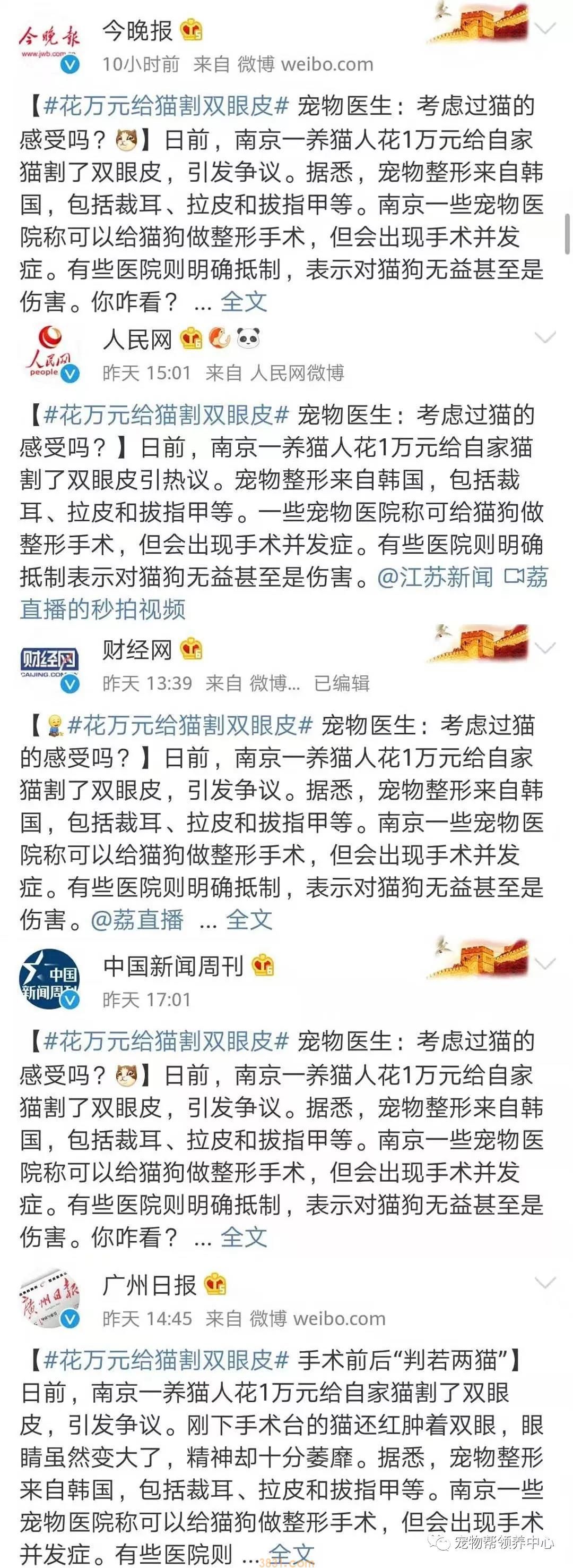 花万元给猫割双眼皮 为了美已经到了丧心病狂的地步吗?(图2)