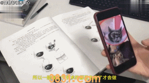 花万元给猫割双眼皮 为了美已经到了丧心病狂的地步吗?(图5)