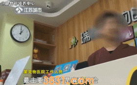 花万元给猫割双眼皮 为了美已经到了丧心病狂的地步吗?(图7)
