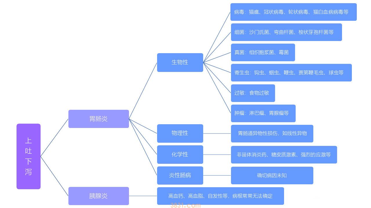 猫咪上吐下泻能自愈吗 疾病问题是不可能自愈的(图1)