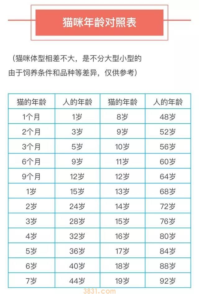 猫可以活多久(图1)