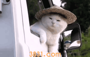 猫呼吸有呼噜声 是患病了还是舒服的表现?(图2)