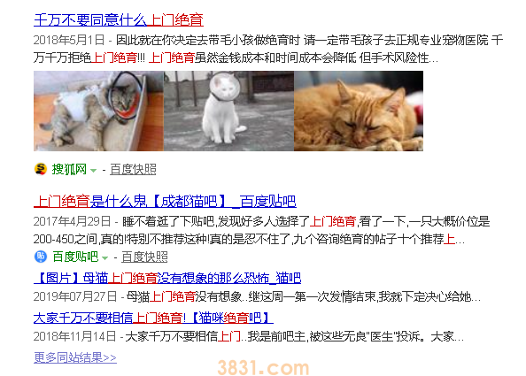 猫绝育多少钱 上门绝育靠谱吗?(图1)