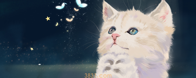 什么罐头适合猫 身体需求都是不同的!(图1)
