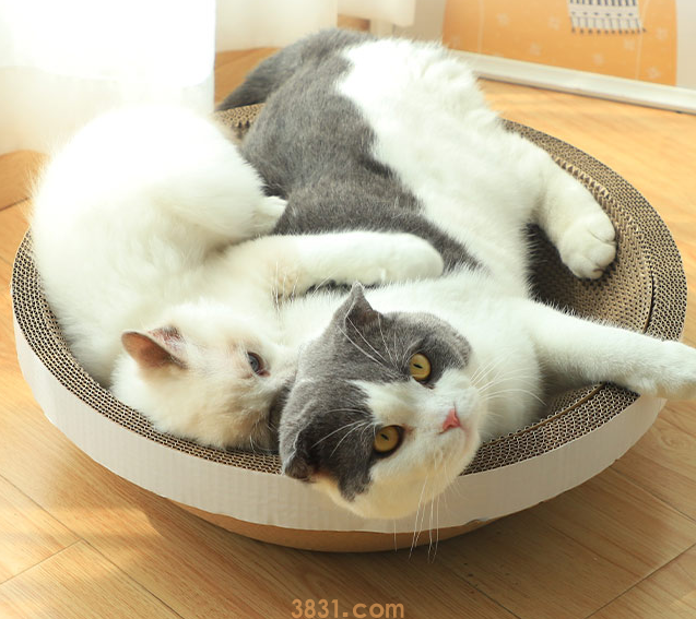 猫抓板什么材质比较好 挑选猫抓板这些你懂吗?(图2)