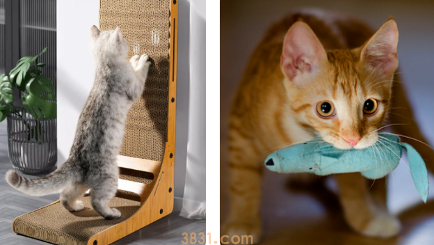 猫咪喜欢撕纸巾玩,是纸的错?还是喵的锅?(图7)
