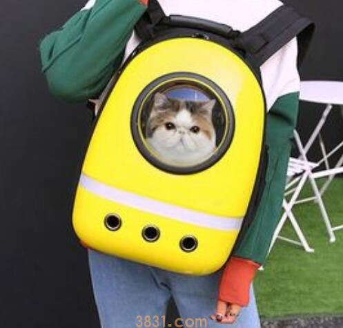 太空舱猫包让上地铁么
