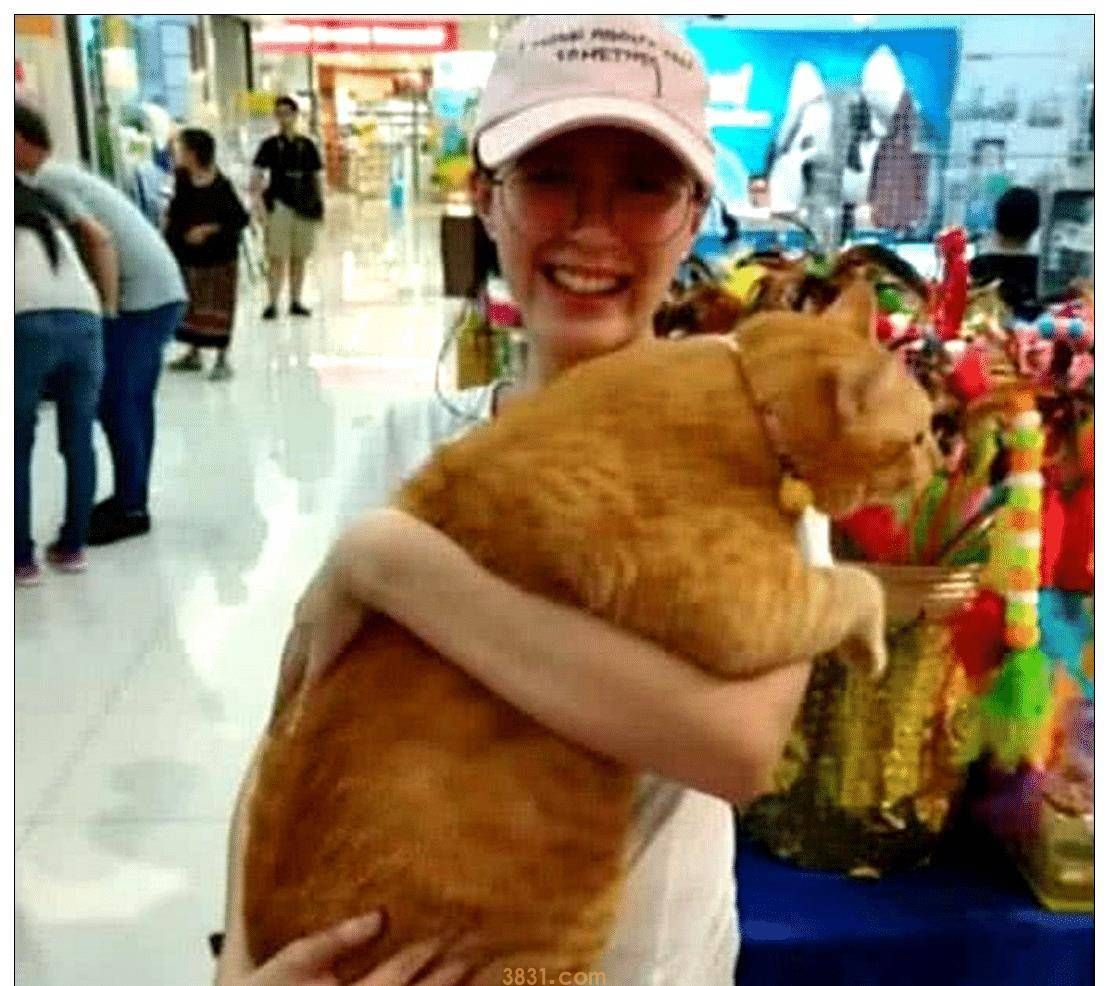 女子抱着橘猫去逛商场,没一会却引来众人围观,网友:活着不如猫(图2)