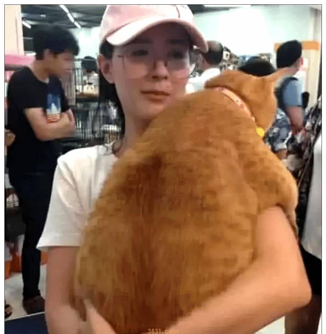 女子抱着橘猫去逛商场,没一会却引来众人围观,网友:活着不如猫(图3)
