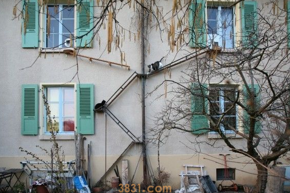 摄影师发现瑞士奇景 每家都有猫咪专属的猫楼梯(图1)