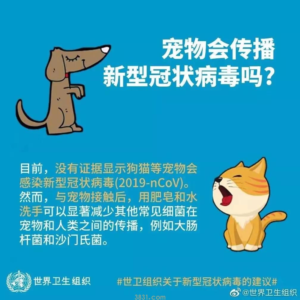 武汉病毒会传染猫狗吗 有哪些注意事项?